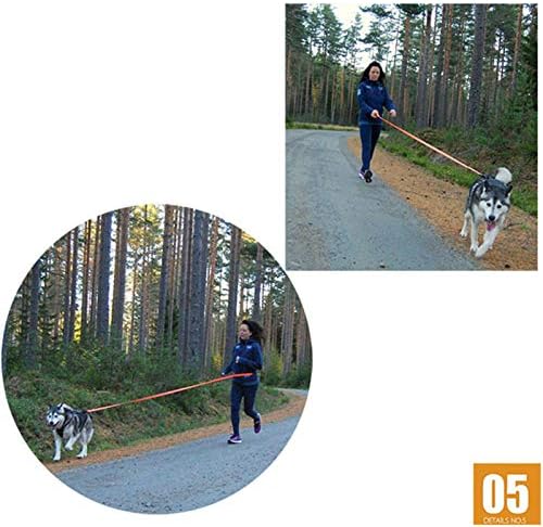JMXAFMY Köpek Koşu Bungee Tasma El - held Ayarlanabilir Naylon Elastik Geri Çekilebilir Köpek Koşu Koşu Yürüyüş için Açar