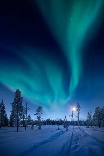 Fener Presi Muonio, Finlandiya-Pallas'ta Ay ve Kuzey Işıkları-Yllaestunturi Milli Parkı Seramik Kahve Kupası (Bulaşık Makinesinde