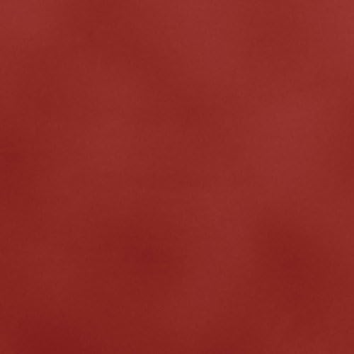 Rachael Ray Cucina Yemek Takımı 8 İnç x 12 İnç Seramik Dikdörtgen Tabağı, Kızılcık Kırmızısı -