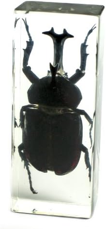 REALBUG Gergedan Böceği Kağıt Ağırlığı (4.4x1.6x1.1) , Siyah