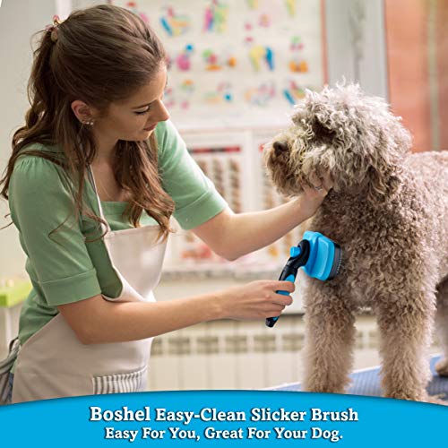 BOSHEL Köpek Slicker Fırçası-Kendi Kendini Temizleyen Fırça-Küçük, Orta ve Büyük Evcil Hayvanlar için Kedi ve Köpek Bakım Fırçası-Saçları