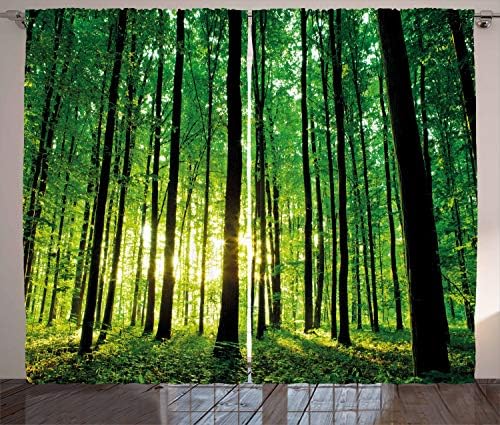 Ambesonne Orman Perdeleri, Gündoğumunda Yeşil Ormanlık Doğal Sabah Doğa Ortamı Ekoloji Huzur, Oturma Odası Yatak Odası Pencere