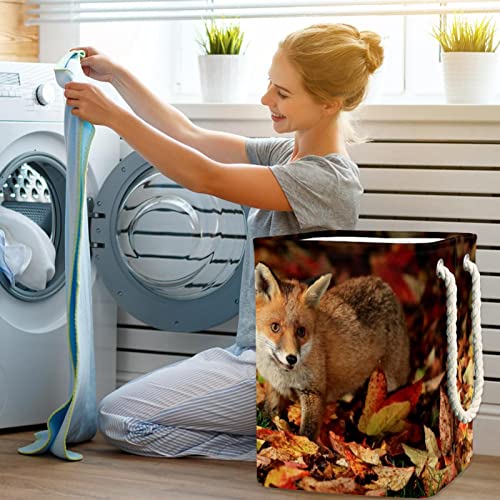Çamaşır Sepeti Tilki saklama kutusu Kendinden Ayakta Su Geçirmez ve Katlanabilir çamaşır torbaları Uzun Saplı 19.3x11.8x15. 9