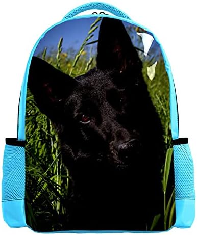 Seyahat Sırt Çantası, siyah alman çoban köpeği