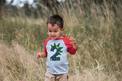 2nd Doğum Günü Gömlek için Erkek Dinozor Sivri 2 Yaşındaki Çocuk Doğum Günü Çocuk Dino İki T-Shirt Raglan Tee