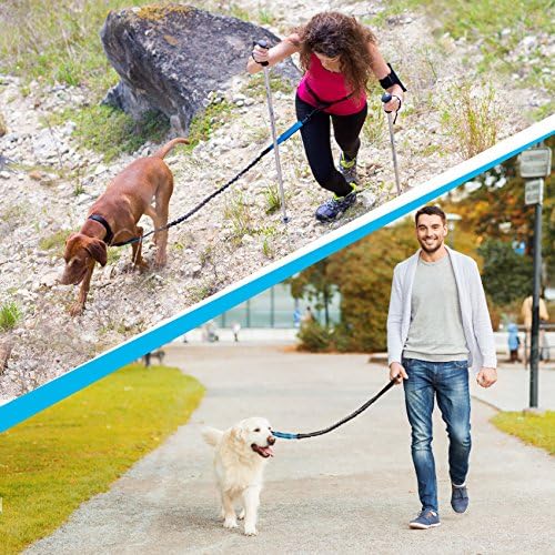Orta ve Büyük Köpekler için SparklyPets Eller Serbest Köpek Tasması-Evcil Hayvanınızı Eğitmek, Yürümek, Koşmak ve Çalıştırmak