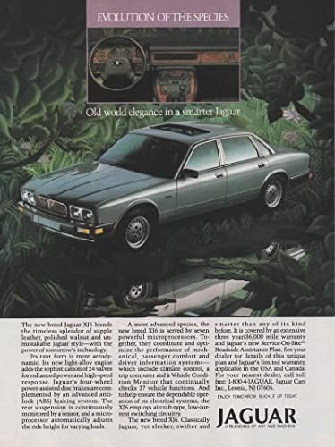 3 Orijinal Dergi Baskı reklamından oluşan set: 1988-1989 Jaguar XJ6, Stow-on-the Wold, Gloucestershire İngiltere'den İngiltere