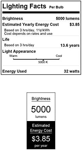 Westinghouse Aydınlatma 5225000 32 Watt (300 Watt Akkor Eşdeğeri) ED28 Yüksek Lümen Filament LED Ampul, Gün Işığı, Mogul Tabanı