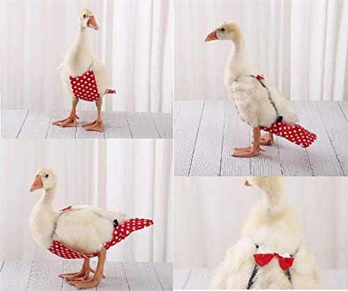 ABCD Tavuk Bezi, Ördek Bezi, Ayarlanabilir Tavuk Bezi, Yıkanabilir ve Tekrar Kullanılabilir, Fiyonklu Tavuk Kostümleri