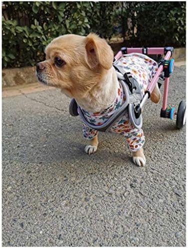 Küçük Hayvan Egzersiz Tekerlekleri, Arka Bacaklar için Köpek Tekerlekli Sandalye Evcil Hayvan Arabası Engelli Arka Bacaklar için