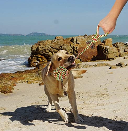 Köpek Oyuncak Top ve Köpek Oyuncak Interaktif Çiğneme Halat, Köpek Pet Gıda Tedavi Besleyici Çiğnemek Diş Temizleme Topu ve Römorkör