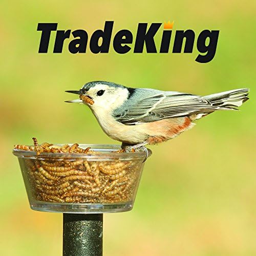 TradeKing 1 lb Kurutulmuş Mealworms-Yabani Kuşlar, Tavuk, Balık ve Sürüngenler için Yüksek Proteinli Muamele