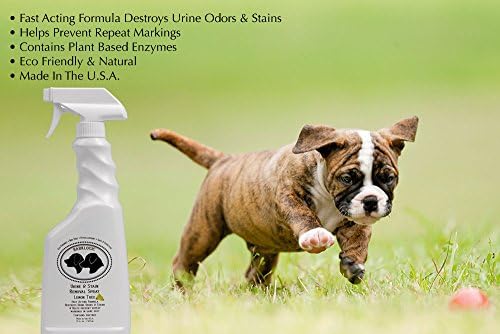 BarkLogic Natural Pet İdrar ve Leke Giderici Sprey, 17 oz-Limon Ağacı / Hızlı Etkili Formül İdrar Kokularını ve Lekelerini Yok