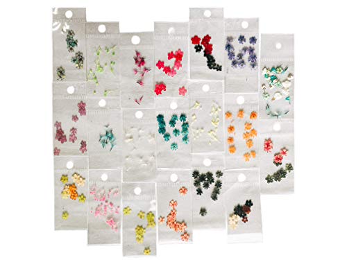CV Nails - (Ürün 1) Tırnak Sanatı için 20 Paket Kurutulmuş Gerçek Çiçekler-Flores Naturaleza Muerta
